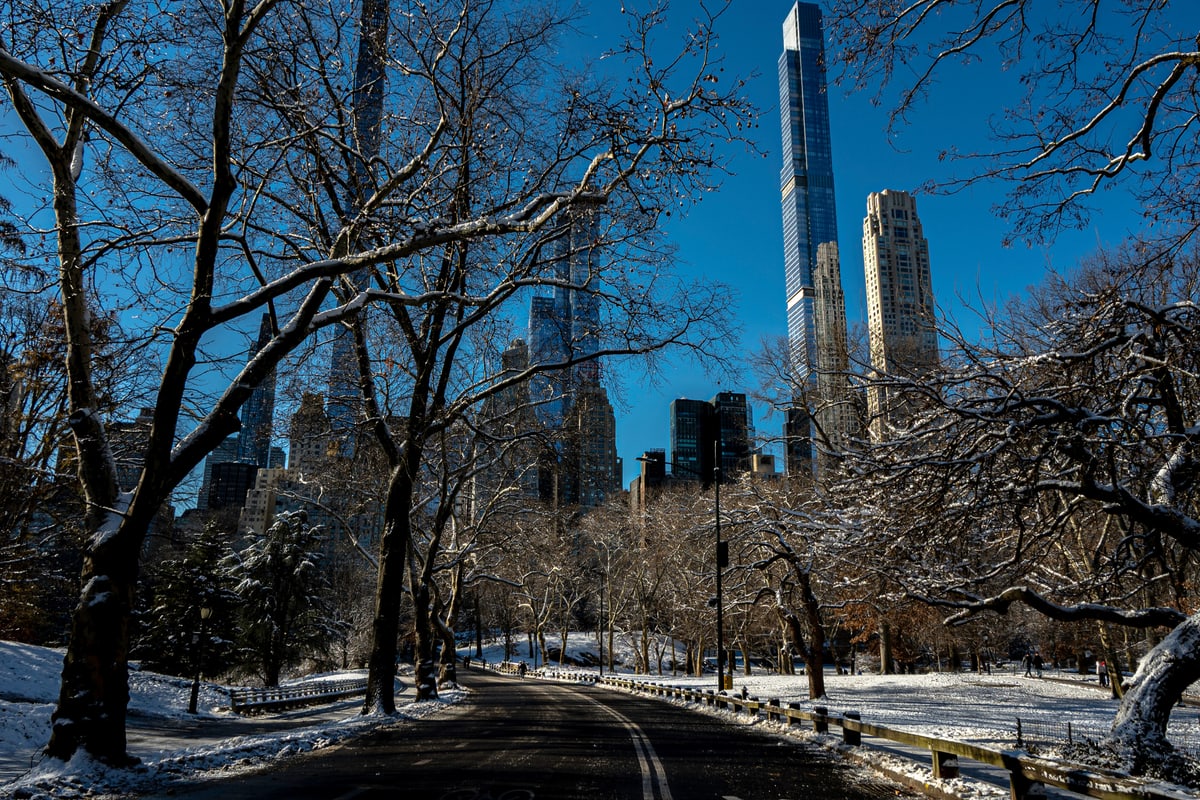 Bare trees and fresh snow in Central Park with supertall towers rising behind.