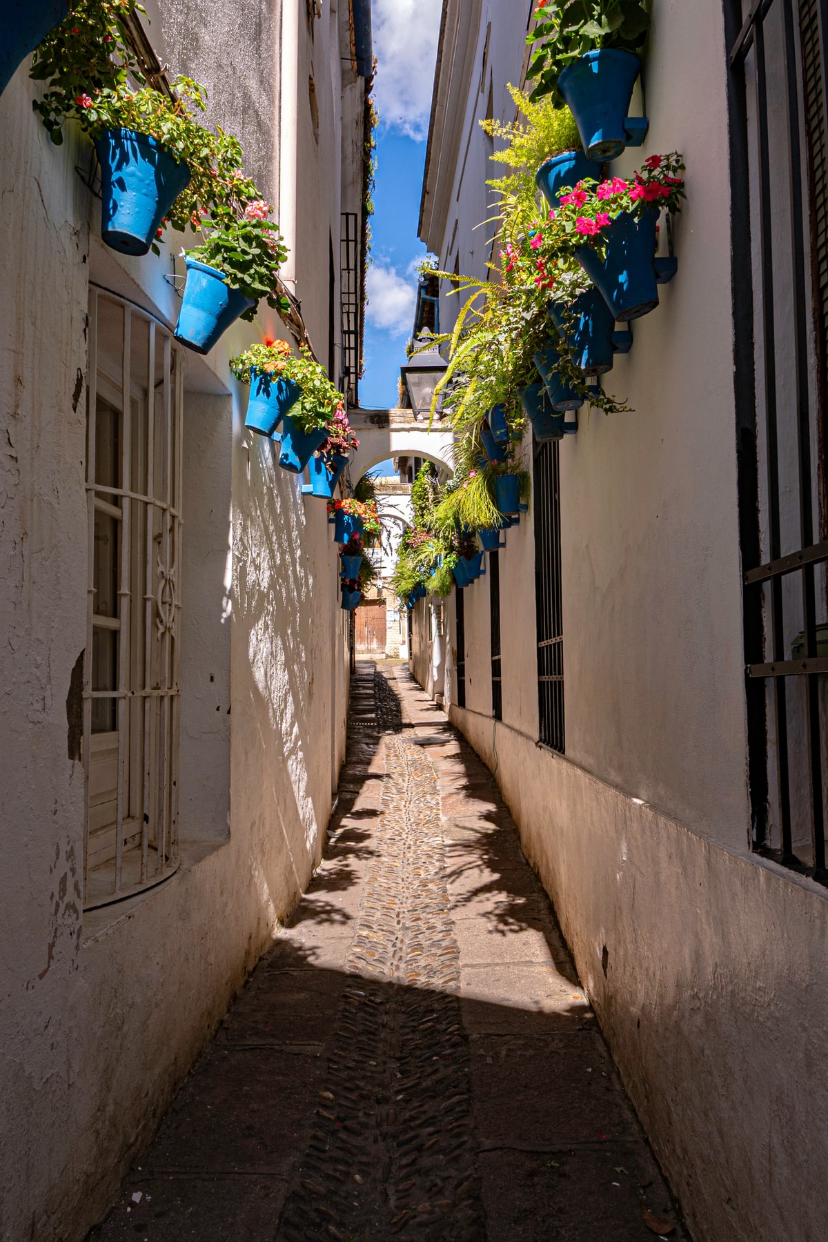 A narrow whitewashed alley lined with blue flower pots in Córdoba.